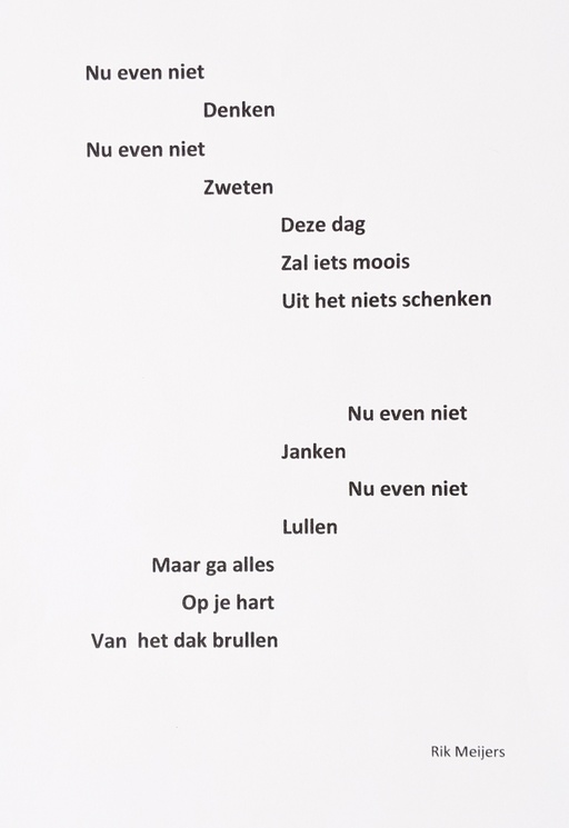 Rik Meijers